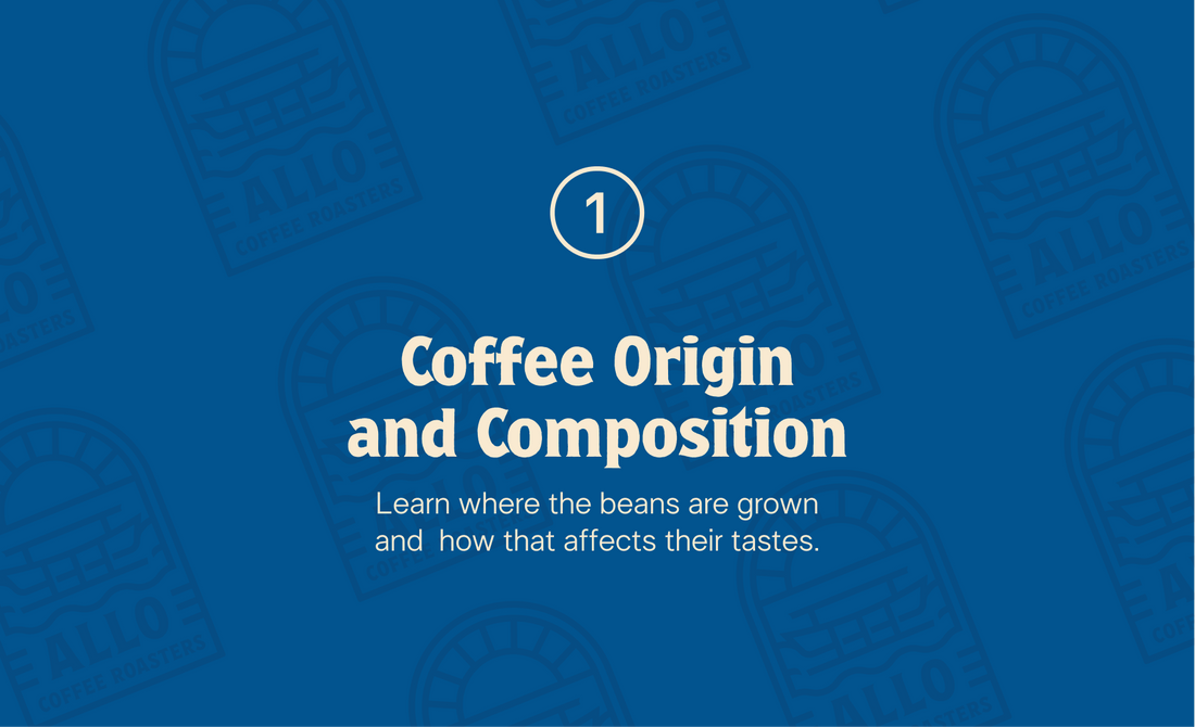 Coffee Origin and Composition
