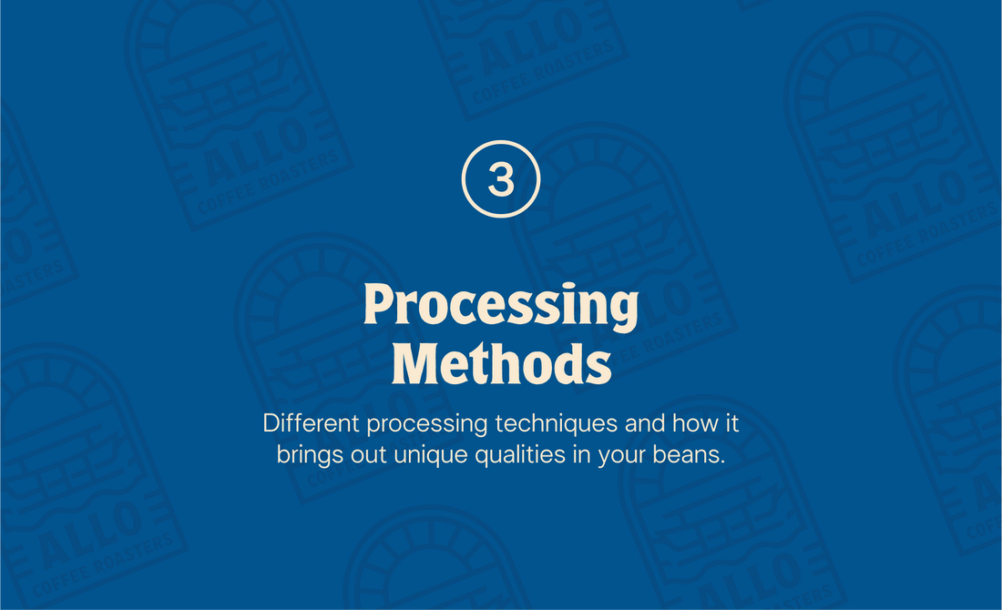 Processing Methods