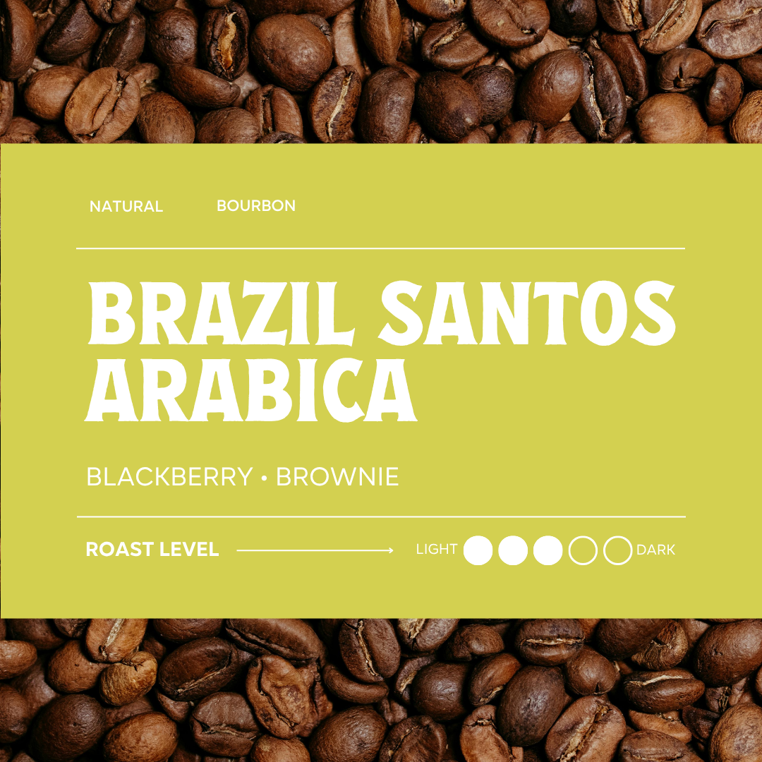 Brazil Santos Arabica