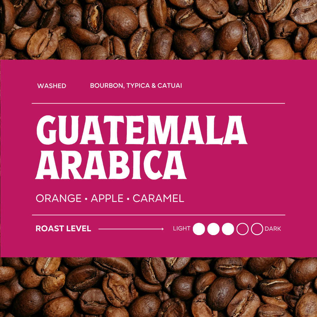 Guatemala Arabica