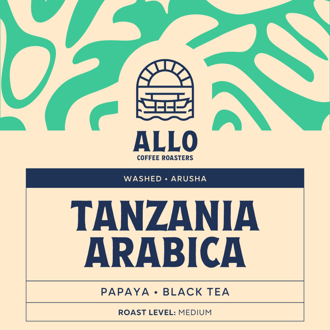 Allo Brew Bundle | Pour-Over Set + 250g Coffee Beans