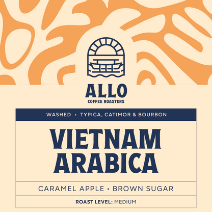 Allo Brew Bundle | Pour-Over Set + 250g Coffee Beans